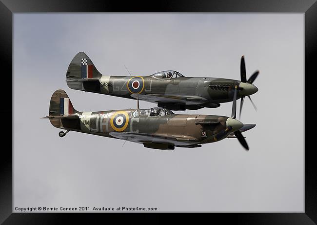 Spitfires Framed Print by Bernie Condon