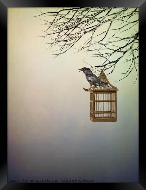Golden Crow Framed Print by Sharon Lisa Clarke