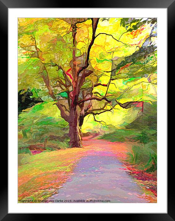 Autumn Paths Framed Mounted Print by Sharon Lisa Clarke