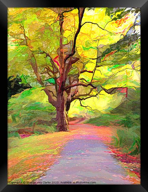 Autumn Paths Framed Print by Sharon Lisa Clarke
