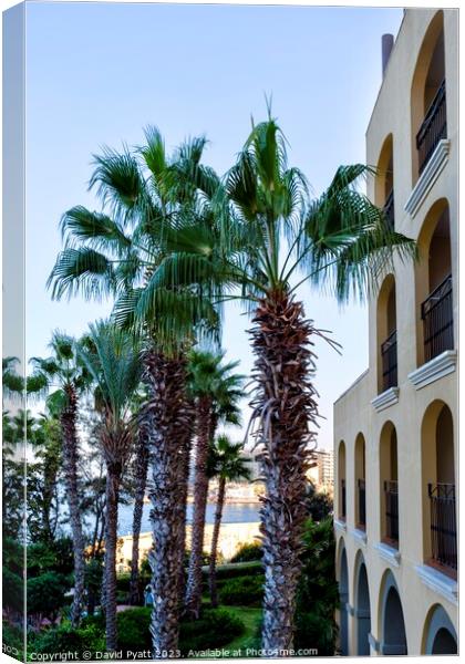 Malta Hotel And Palm Trees  Canvas Print by David Pyatt