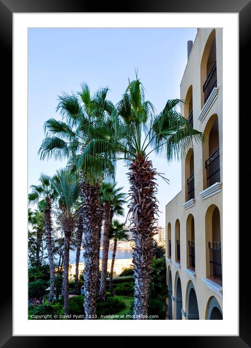 Malta Hotel And Palm Trees  Framed Mounted Print by David Pyatt