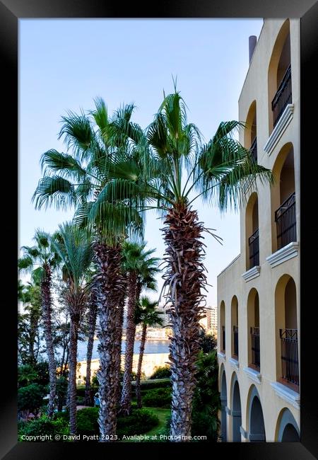 Malta Hotel And Palm Trees  Framed Print by David Pyatt