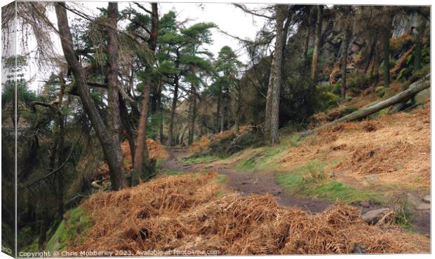 The Roaches woodland Canvas Print by Chris Mobberley