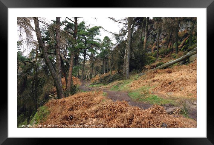 The Roaches woodland Framed Mounted Print by Chris Mobberley