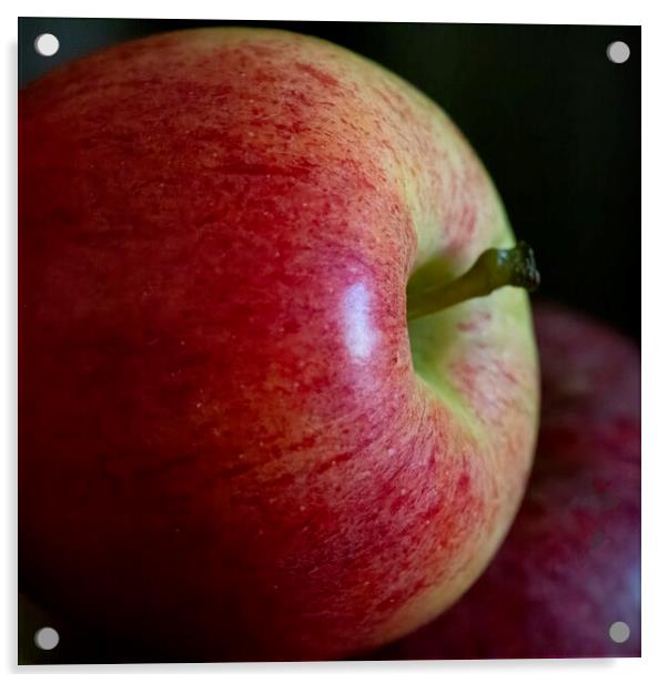 Apple 02 Acrylic by Glen Allen