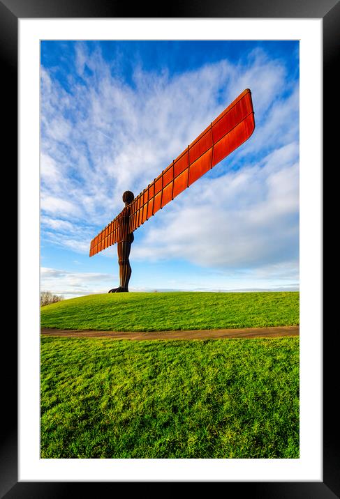 Majestic Guardian of the North Framed Mounted Print by Steve Smith