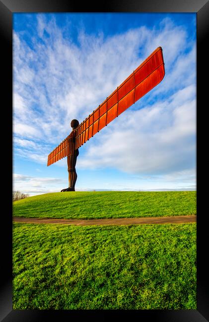 Majestic Guardian of the North Framed Print by Steve Smith