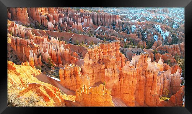 Bryce Canyon National Park Framed Print by Ian Collins