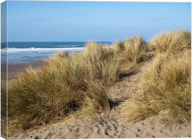 Sand dunes at Widemouth Bay Canvas Print by Tony Twyman