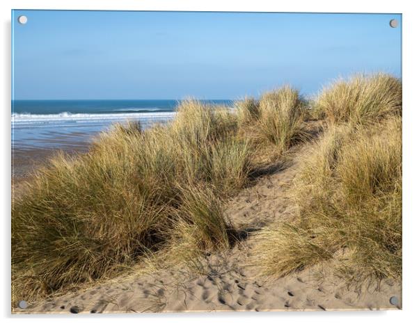 Sand dunes at Widemouth Bay Acrylic by Tony Twyman