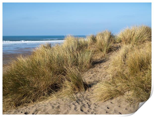Sand dunes at Widemouth Bay Print by Tony Twyman