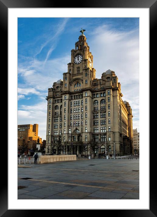 Liver Building Framed Mounted Print by Steve Smith