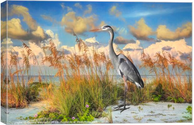 Heron on Gasparilla Island  Canvas Print by Donna Kennedy