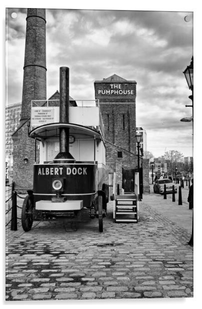 Royal Albert Docks Acrylic by Steve Smith