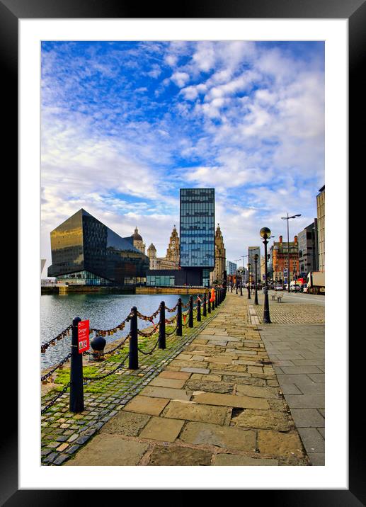 Royal Albert Docks Framed Mounted Print by Steve Smith