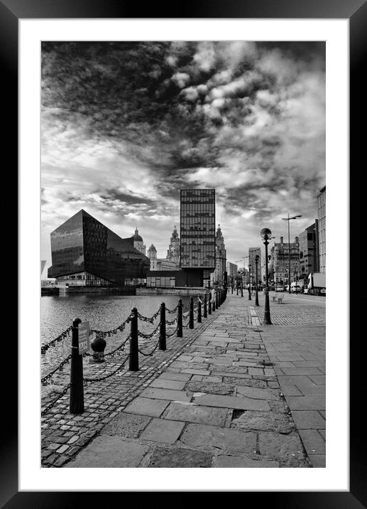 Royal Albert Docks Framed Mounted Print by Steve Smith