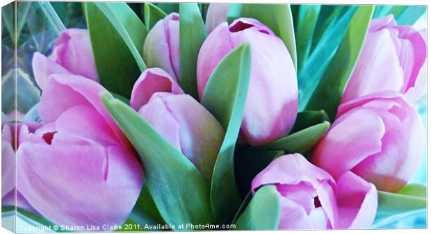 Pink Tulips Canvas Print by Sharon Lisa Clarke