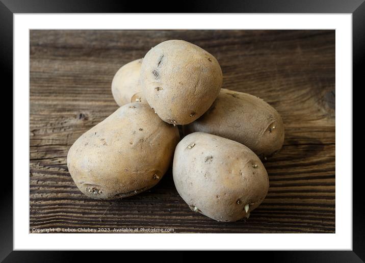 Pile of raw potatoes on rustic wooden table Framed Mounted Print by Lubos Chlubny