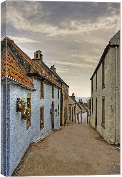 Looking down Tanhouse Brae Canvas Print by Tom Gomez