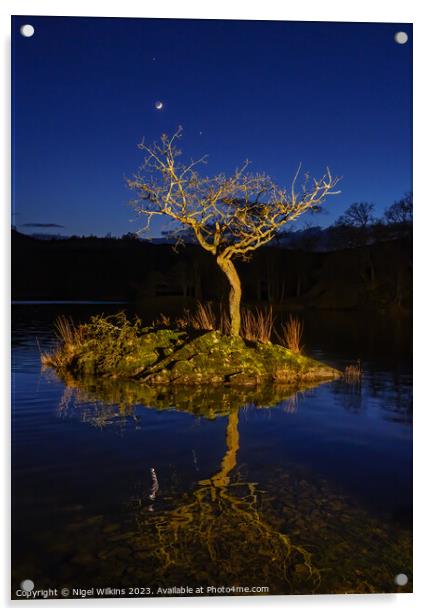 Rydal Water, Lake District Acrylic by Nigel Wilkins
