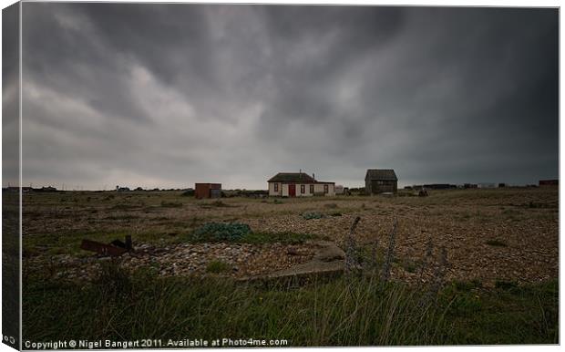 House at Dungeness Canvas Print by Nigel Bangert