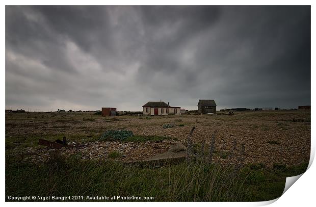House at Dungeness Print by Nigel Bangert