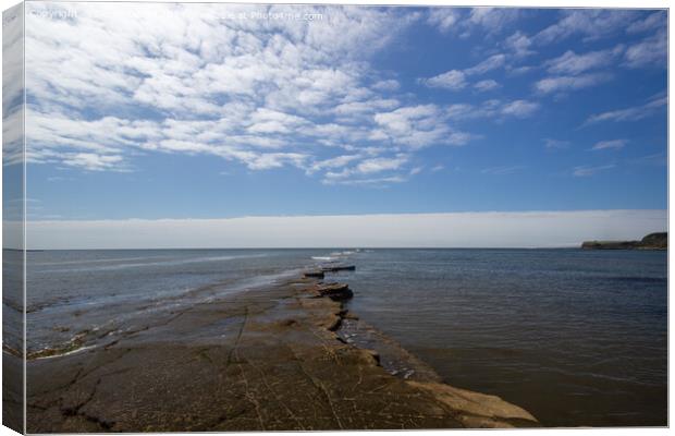 Majestic Jurassic Coast Canvas Print by Derek Daniel