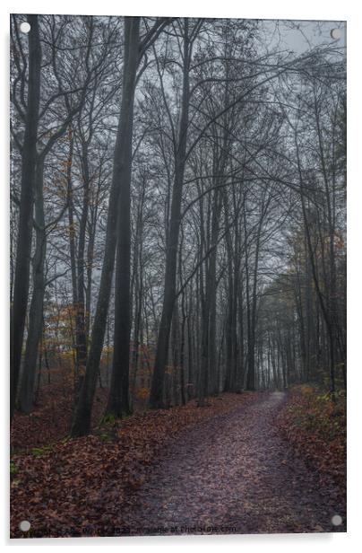 dark forest on a misty autum day Acrylic by Alex Winter
