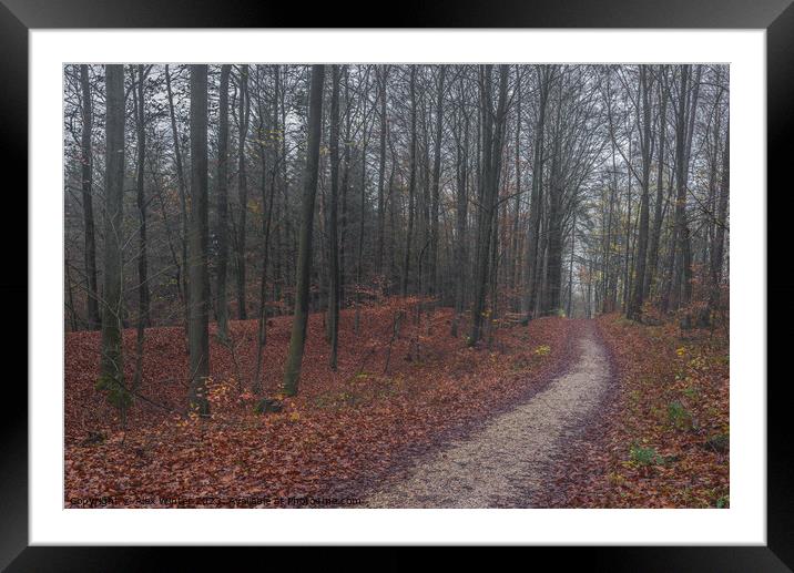 foggy at autumn Framed Mounted Print by Alex Winter