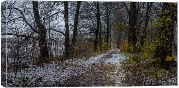 Snowy walkway through trees  Canvas Print by Alex Winter