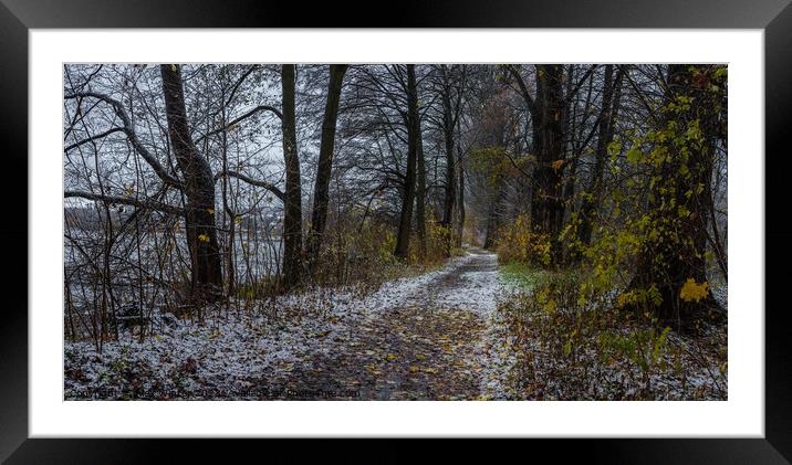 Snowy walkway through trees  Framed Mounted Print by Alex Winter