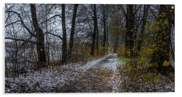 Snowy walkway through trees  Acrylic by Alex Winter