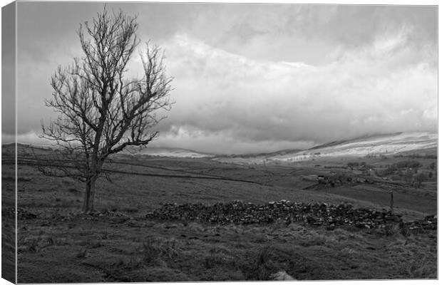 Moody Yorkshire Dales Landscape Canvas Print by Rob Cole