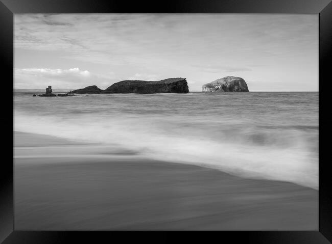 Seacliff Beach Black and White  Framed Print by Anthony McGeever