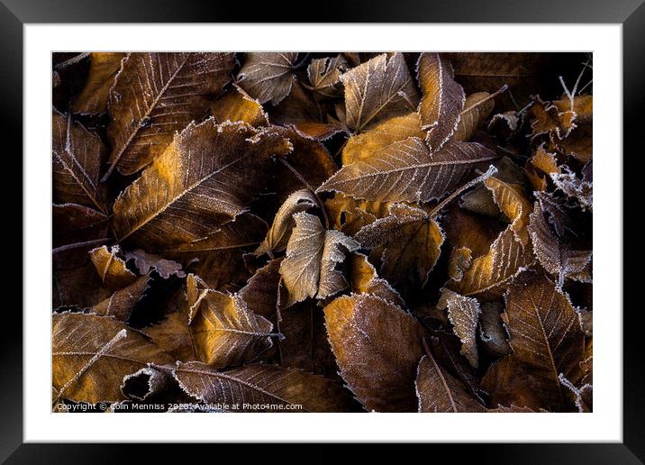 Beauty In Decay Framed Mounted Print by Colin Menniss