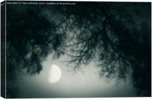 Misty February Moon Monochrome Canvas Print by Taina Sohlman