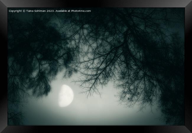 Misty February Moon Monochrome Framed Print by Taina Sohlman