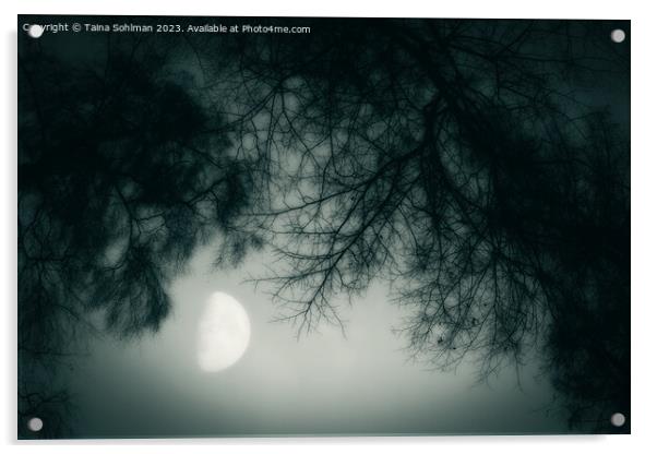 Misty February Moon Monochrome Acrylic by Taina Sohlman