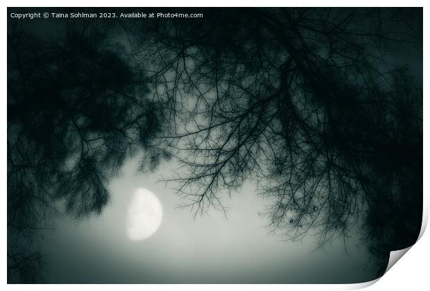 Misty February Moon Monochrome Print by Taina Sohlman