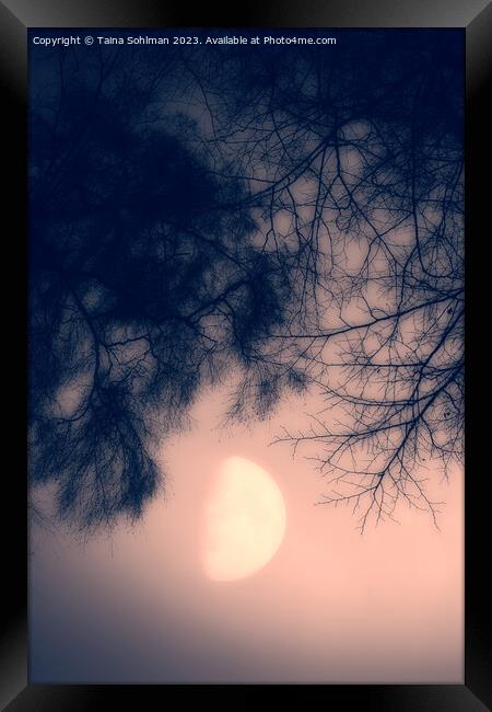 Misty February Moon in the Pink Sky Vertical Framed Print by Taina Sohlman
