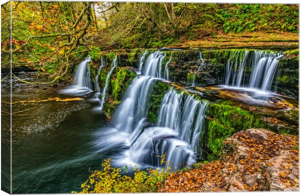 Sgwd y Pannwr Waterfall, Brecon Beacons Four Falls Trail Canvas Print by David Ross