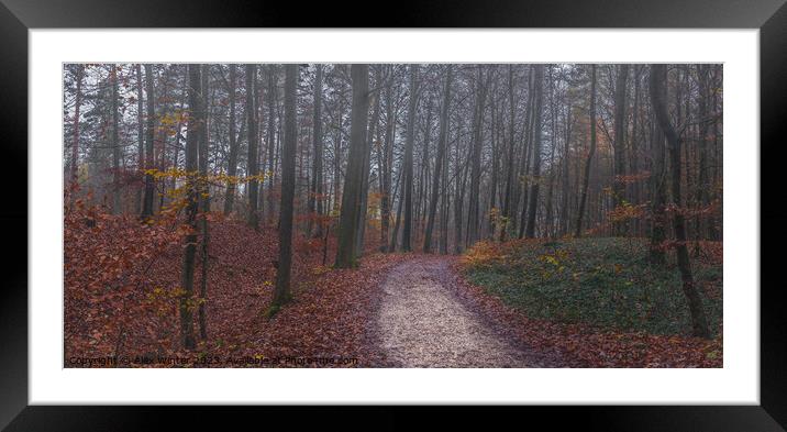foggy forest Framed Mounted Print by Alex Winter