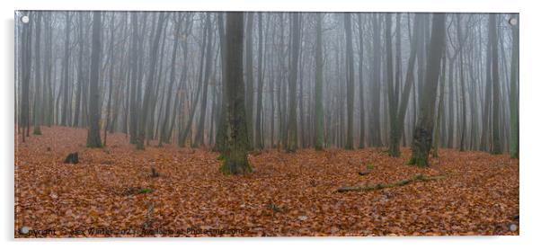 foggy forest Acrylic by Alex Winter