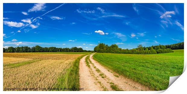 landscape panorama Print by Alex Winter