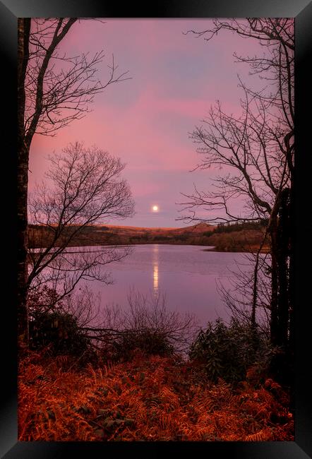 Moon Rise Sunset Burrator, Dartmoor Devon Framed Print by Maggie McCall