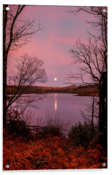 Moon Rise Sunset Burrator, Dartmoor Devon Acrylic by Maggie McCall