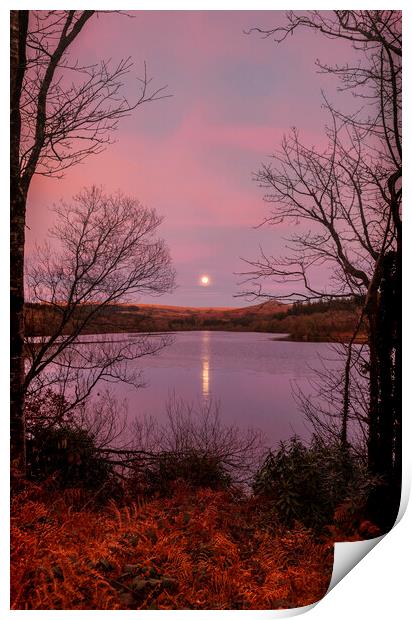 Moon Rise Sunset Burrator, Dartmoor Devon Print by Maggie McCall