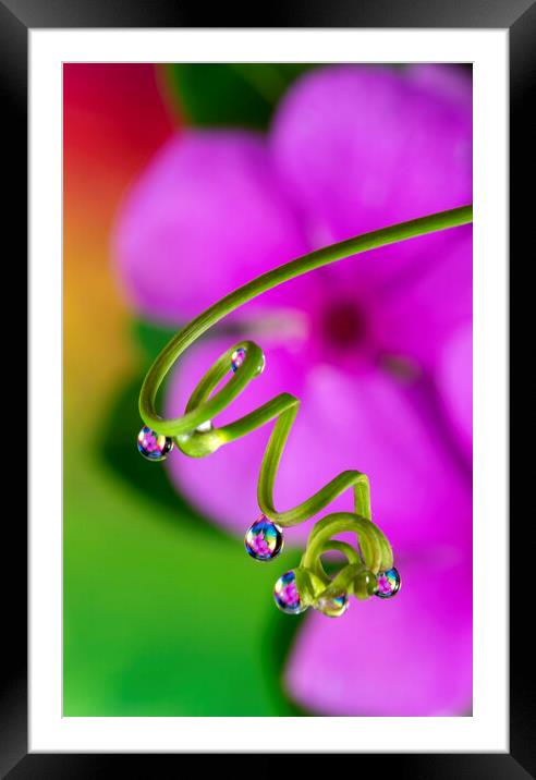 Water Drop Reflection Framed Mounted Print by Antonio Ribeiro
