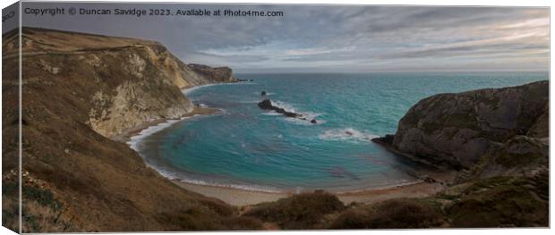 Man O'war beach Dorset panoramic  Canvas Print by Duncan Savidge
